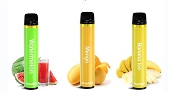 AIO Disposable Electronic Cigarette 2 Percent Nicotine Vape 1500Puffs