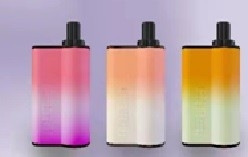 Disposable Non Rechargeable Vapes Portable Pod System 5000Puffs Lush Ice